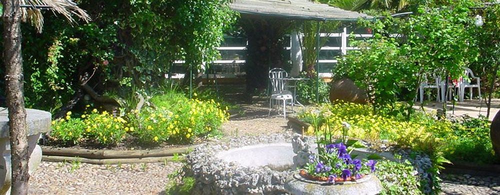 Pensjonat Casa Do Foral Rio Maior Zewnętrze zdjęcie